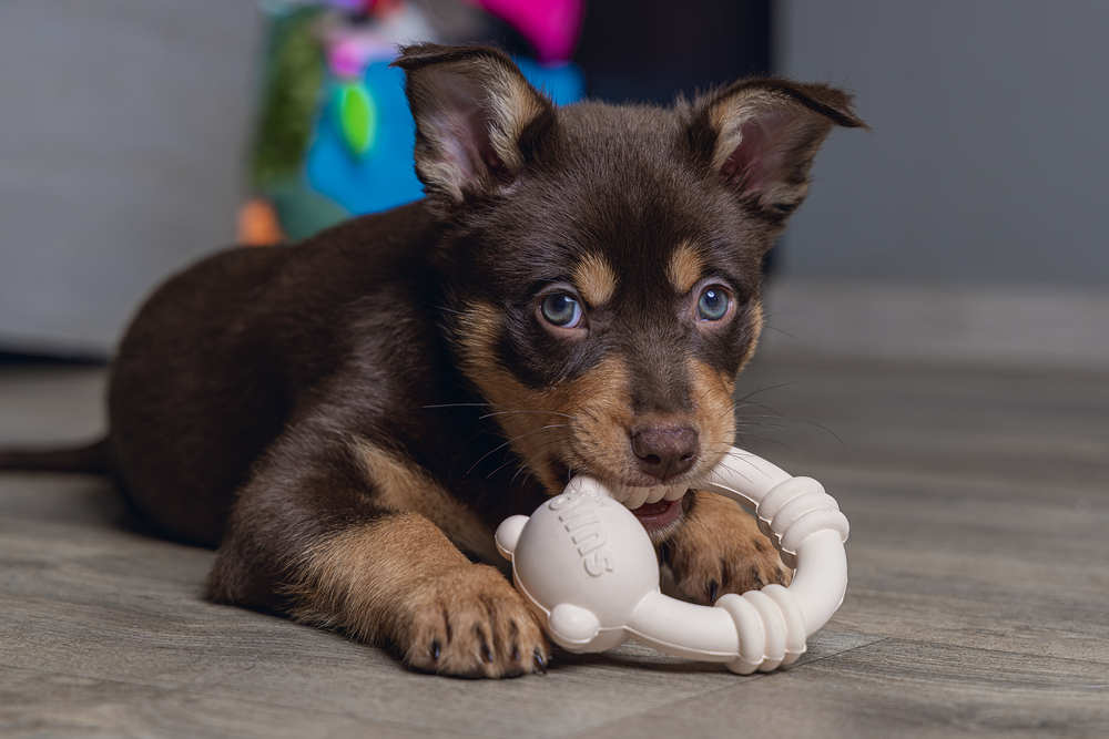 Beeztees Sumo Mını Dental Oyuncak Pembe 9,5x10,5