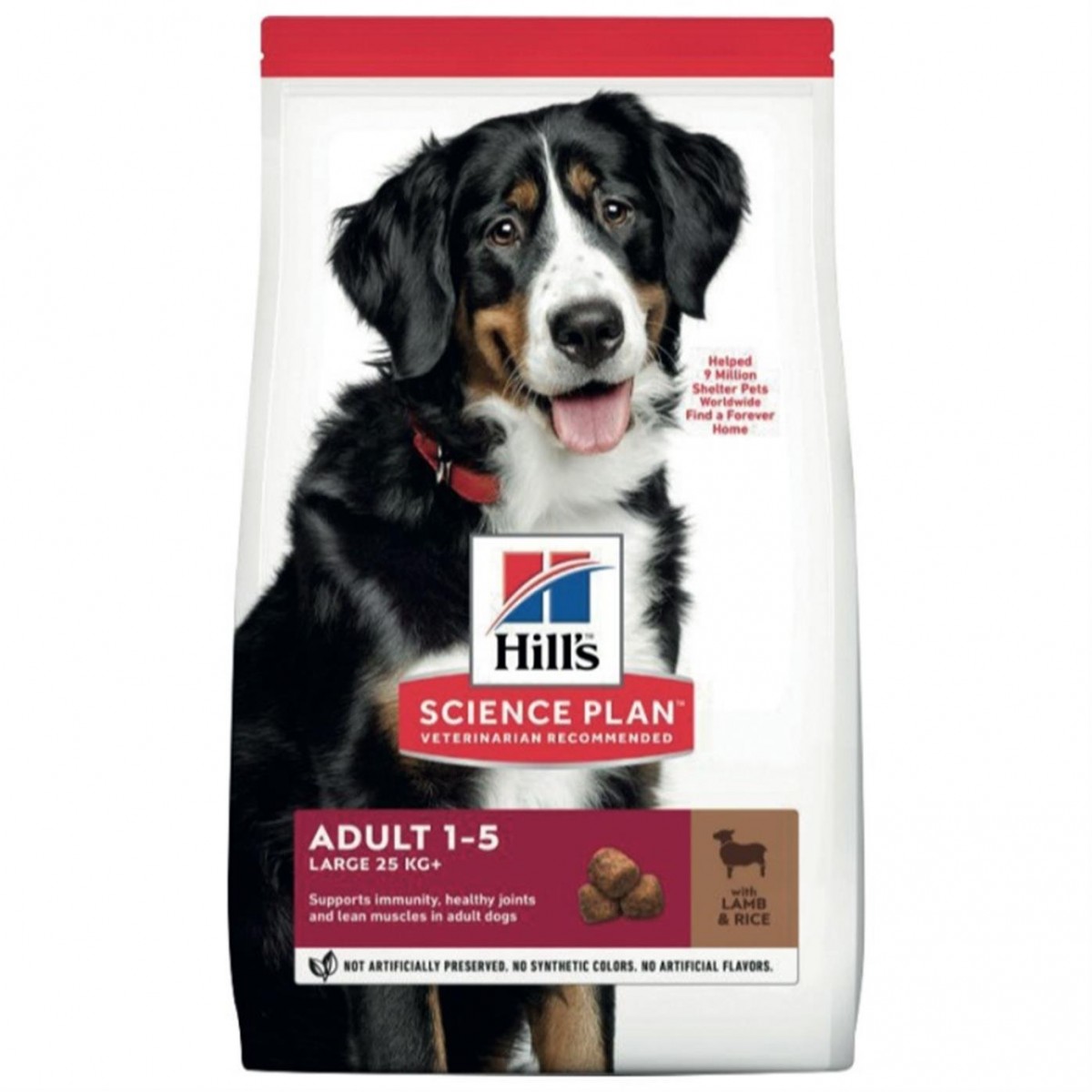 Hill's SP Kuzulu ve Pirinçli Büyük Irk Yetişkin Köpek Maması 12+2KG