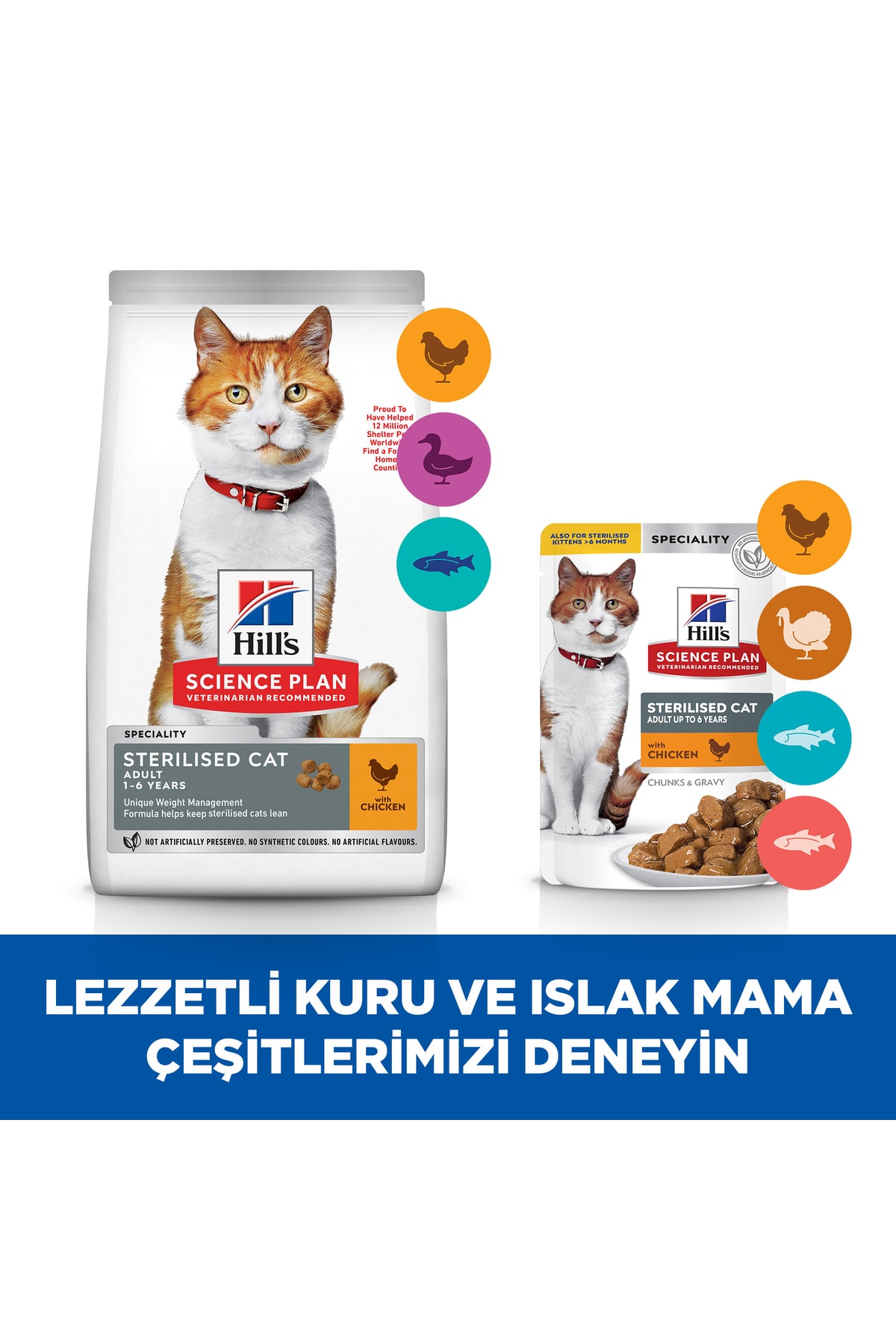 Hill's SP Tavuklu Kısırlaştırılmış Yetişkin Kedi Maması 8+2 KG