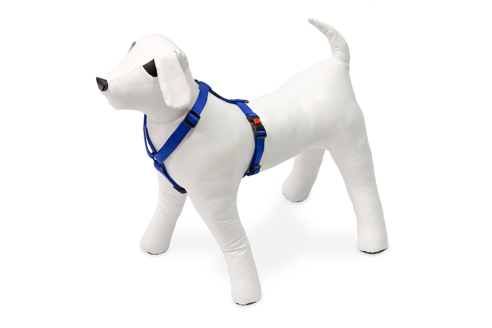 Karlıe Köpek Göğüs Tasması L Mavi 65-100x2,5