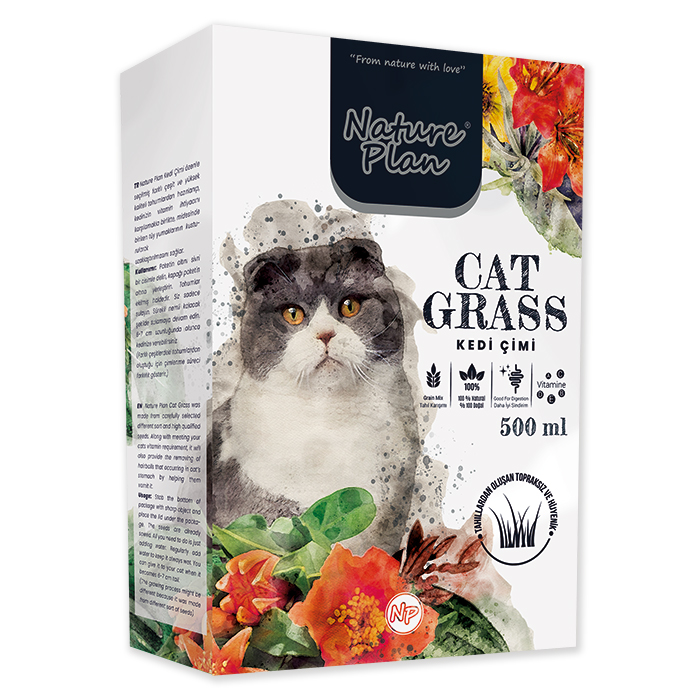 Oripet Kedi Çimi Kolisi (15 )