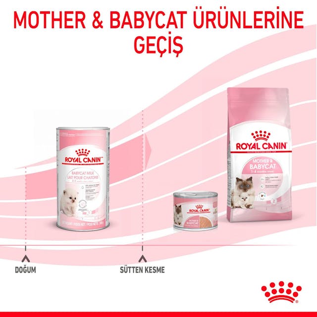 Royal Canin Babycat Milk Yavru Kedi Süt Tozu 300 gr