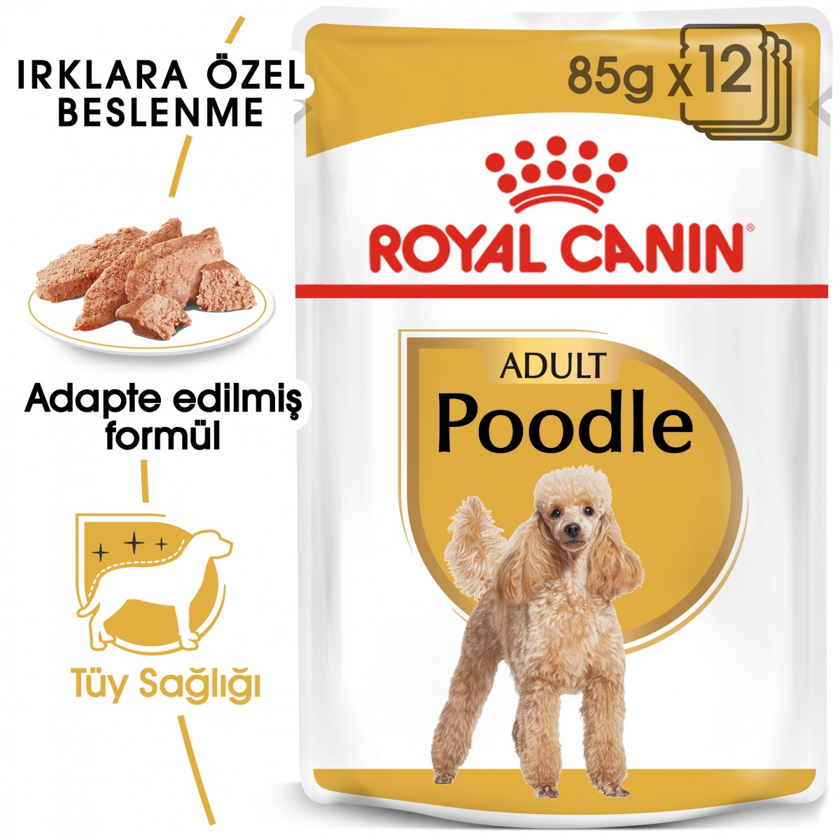 Royal Canin Poodle Adult Yetişkin Pouch Köpek Konserve Yaş Maması 85 Gr.