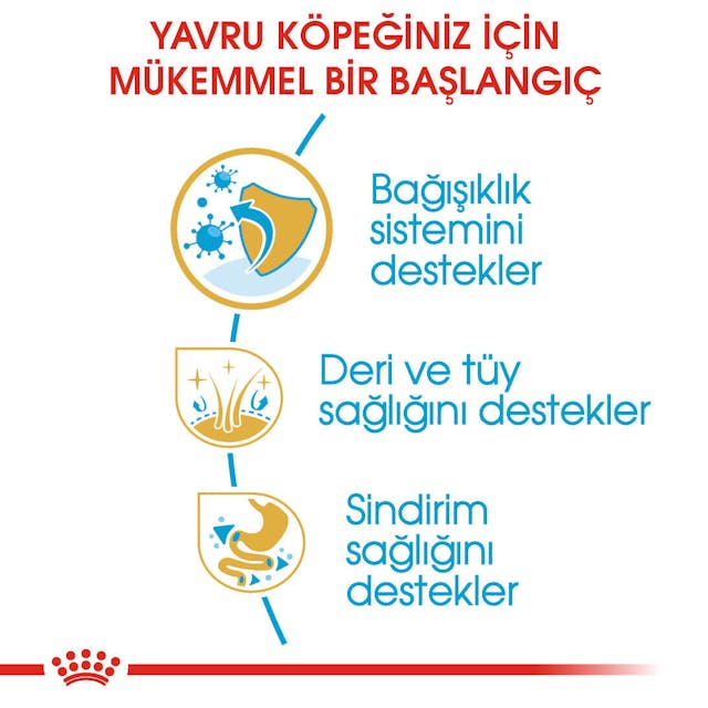 Royal Canin Cocker Junior Puppy Yavru Köpek Maması 3 Kg