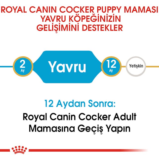 Royal Canin Cocker Junior Puppy Yavru Köpek Maması 3 Kg