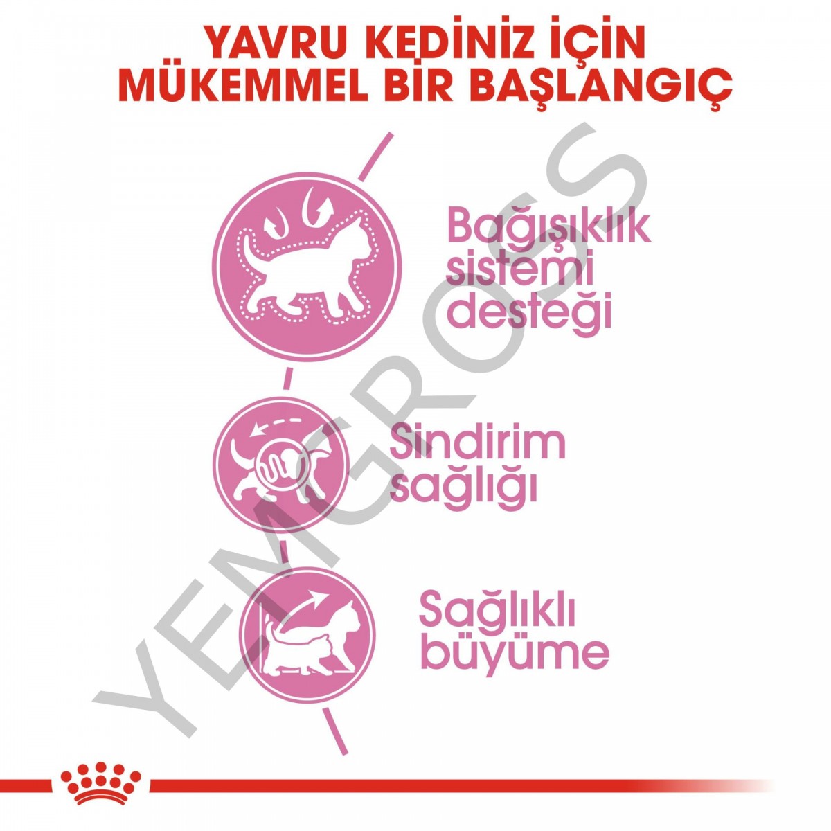 Royal Canin Kitten Yavru Kedi Maması 4 Kg