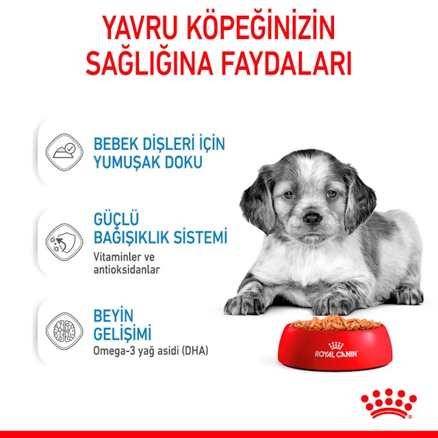 Royal Canin Medium Puppy Orta Irk Yavru Köpekler İçin Parça Etli Konserve Yaş Mama Pouch 140 Gr