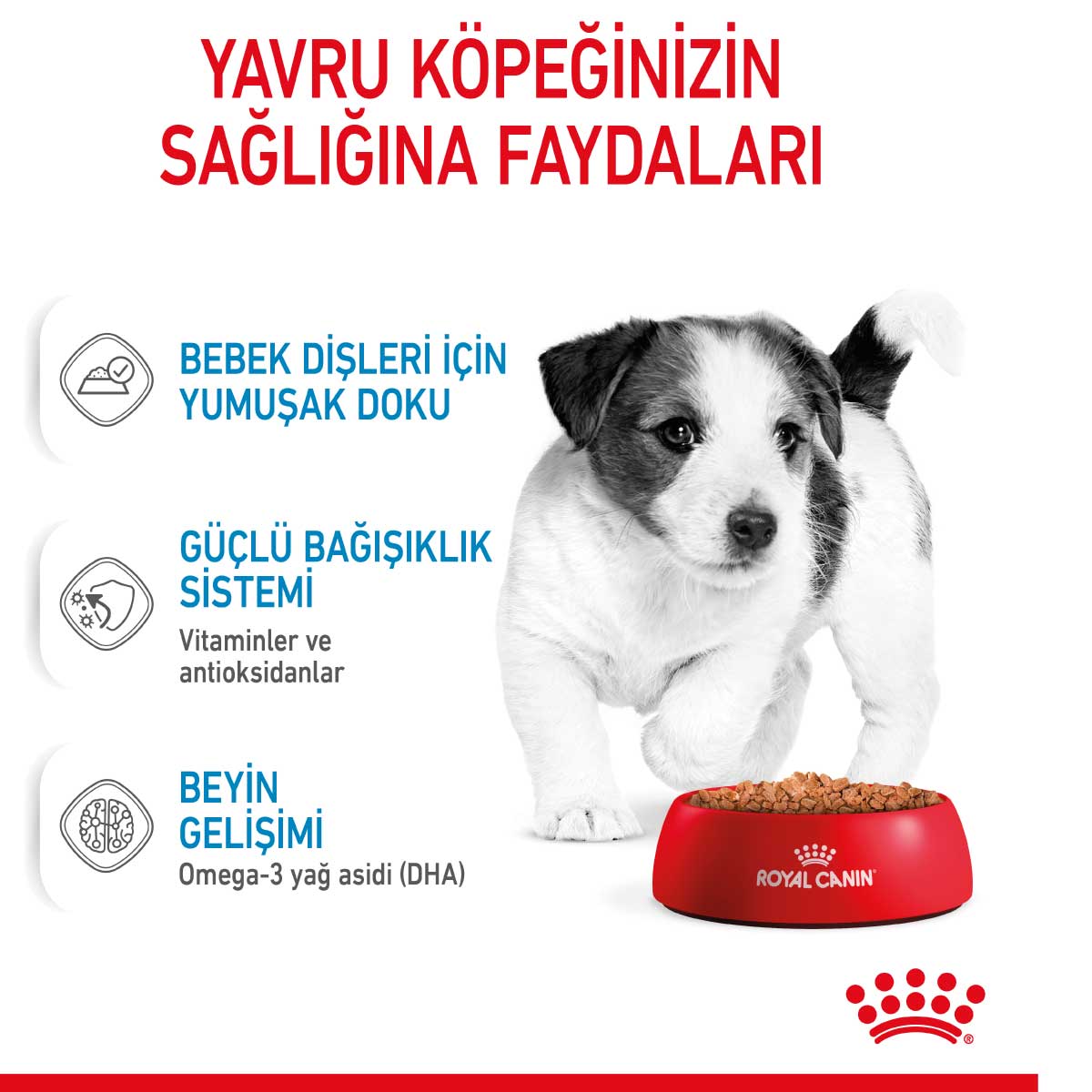 Royal Canin Mini Puppy Pouch Konserve Yavru Köpek Yaş Maması 85 Gr