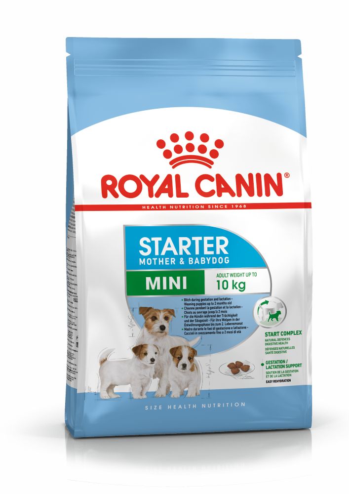 Royal Canin Mini Starter Küçük Irk Anne ve Yavru Köpek Maması 4 Kg
