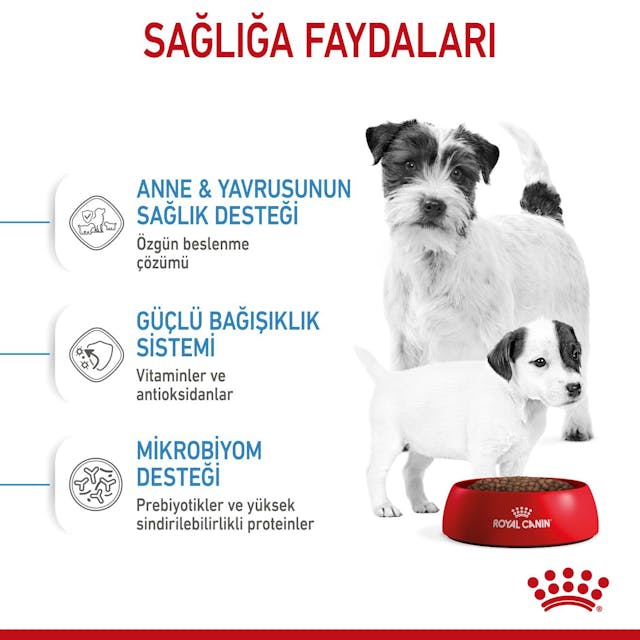 Royal Canin Mini Starter Küçük Irk Anne ve Yavru Köpek Maması 4 Kg