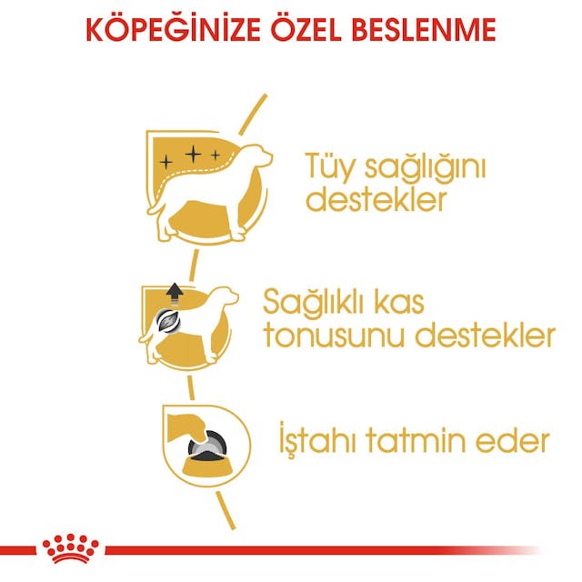Royal Canin Poodle Adult Yetişkin Pouch Köpek Konserve Yaş Maması 85 Gr.