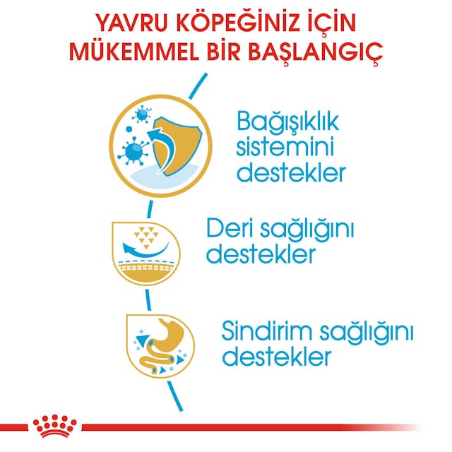 Royal Canin Pug Puppy Yavru Köpek Maması 1,5 Kg