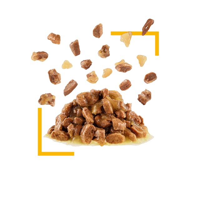 Royal Canin Sensory Taste Gravy Pouch Kedi Konserve Yaş Maması 85 Gr