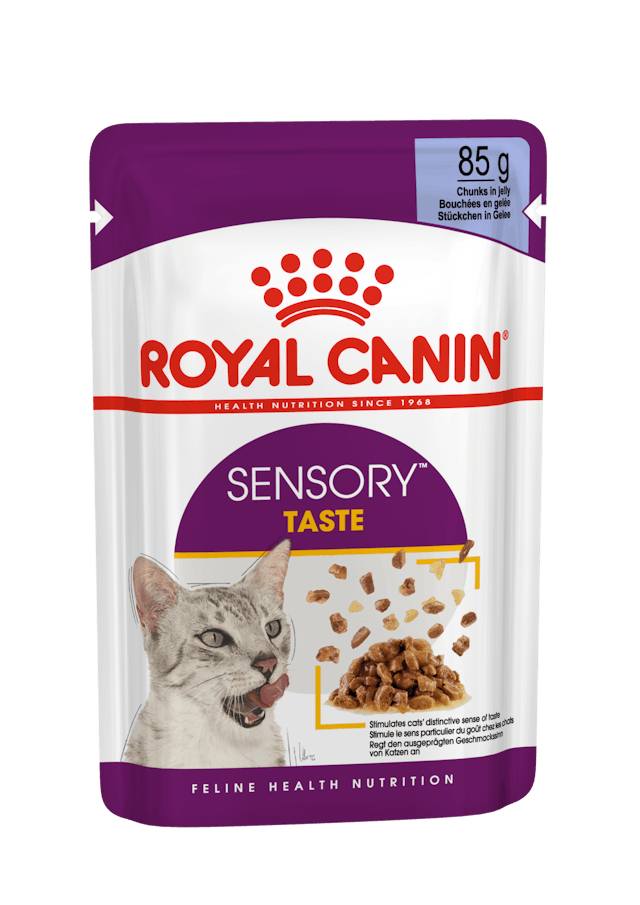 Royal Canin Sensory Taste Gravy Pouch Kedi Konserve Yaş Maması 85 Gr