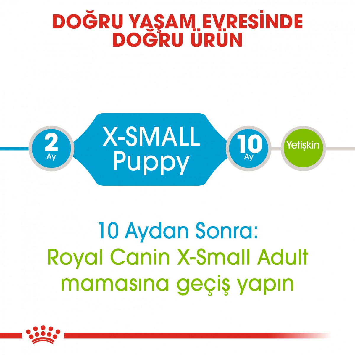 Royal Canin X-Small Puppy Küçük Irk Yavru Köpek Maması 1,5 Kg