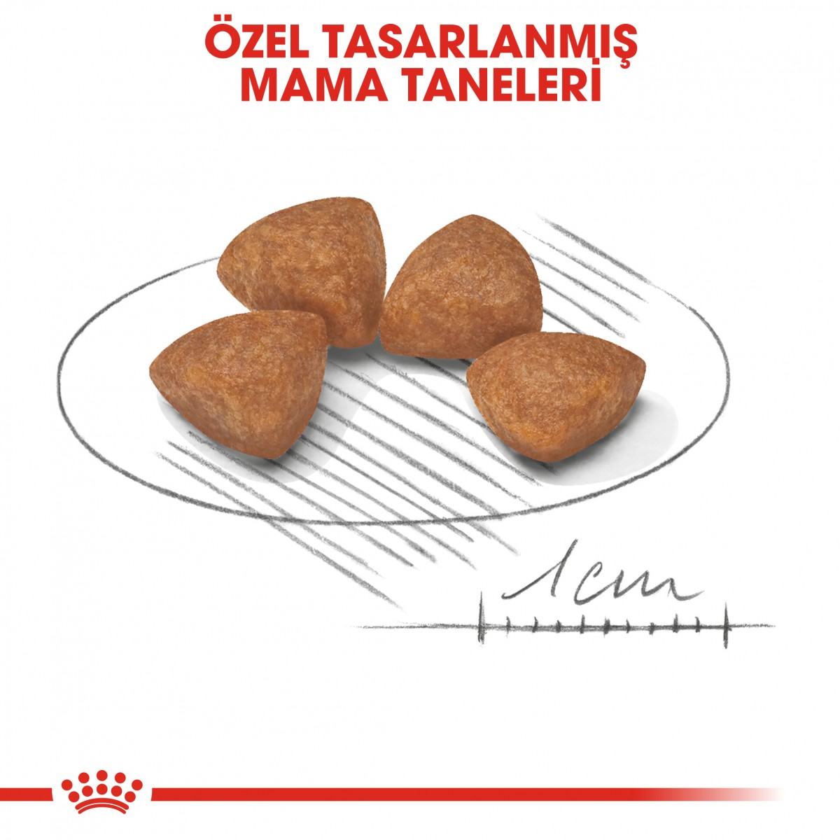 Royal Canin X-Small Puppy Küçük Irk Yavru Köpek Maması 1,5 Kg