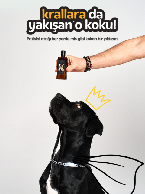 Doku Pet Parfume 50 ml