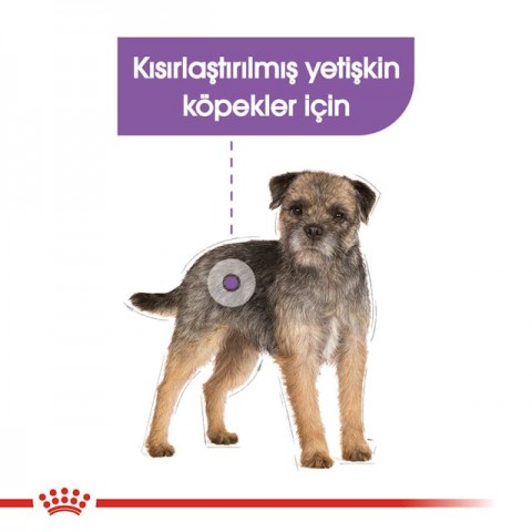 Royal Canin CCN Mini Sterilised Adult Kısırlaştırılmış Köpek Pouch Konserve Yaş Mama 85 Gr