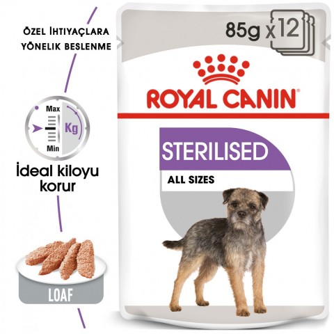 Royal Canin CCN Mini Sterilised Adult Kısırlaştırılmış Köpek Pouch Konserve Yaş Mama 85 Gr