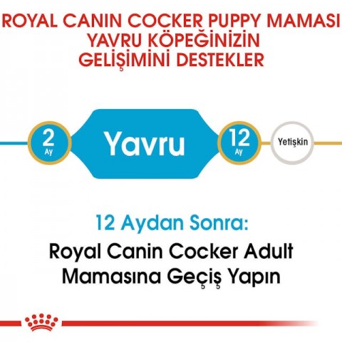Royal Canin Cocker Junior Puppy Yavru Köpek Maması 3 Kg