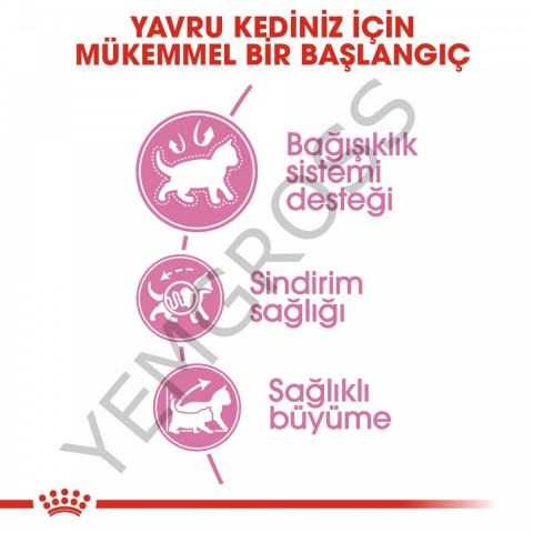 Royal Canin Kitten Yavru Kedi Maması 4 Kg