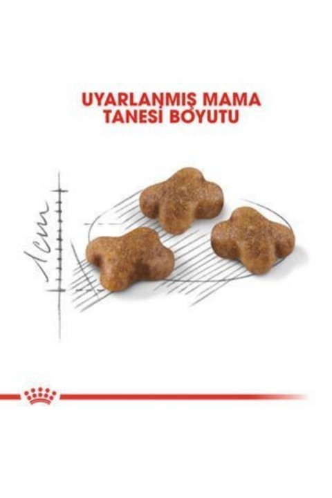 Royal Canin Kitten Yavru Kedi Maması 4 Kg