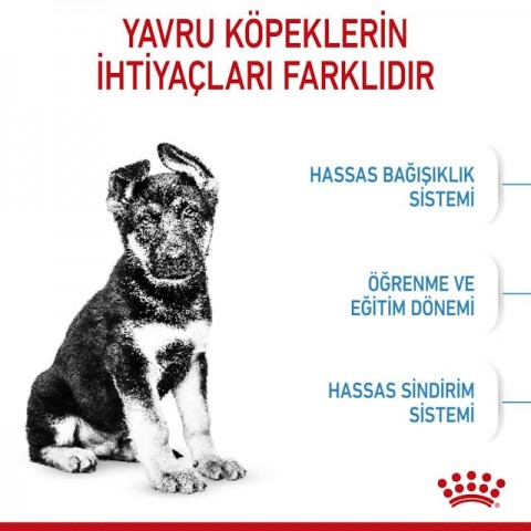Royal Canin Maxi Puppy Büyük Irk Yavru Köpek Maması 15 Kg.
