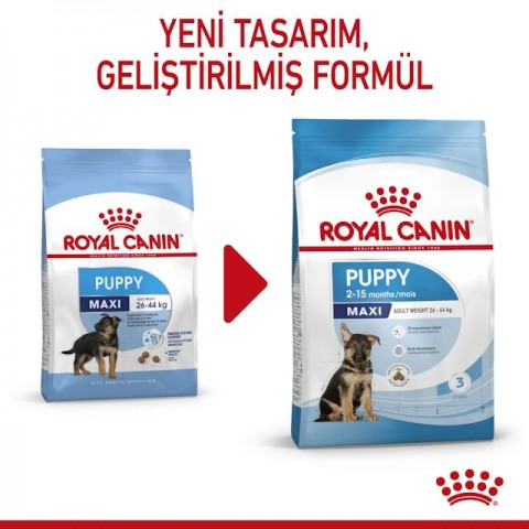 Royal Canin Maxi Puppy Büyük Irk Yavru Köpek Maması 15 Kg.