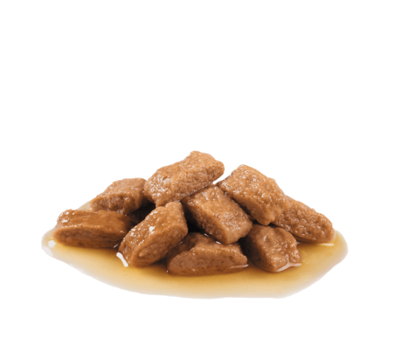 Royal Canin Medium Adult Orta Irk Yetişkin Köpekler İçin Parça Etli Konserve Yaş Mama Pouch 140 Gr