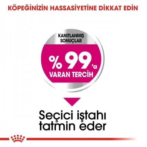 Royal Canin Mini Exigent Küçük Irk Yetişkin Köpek Maması 3 Kg