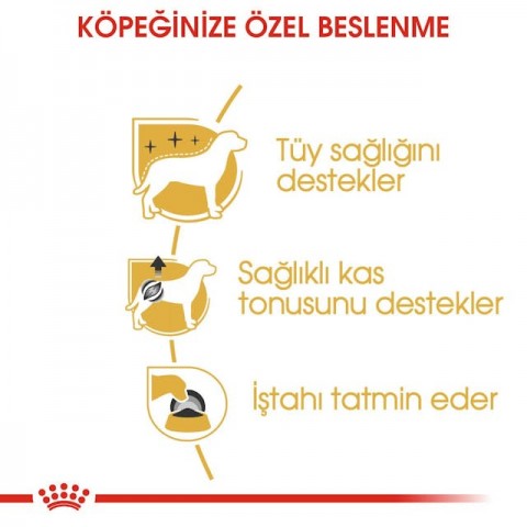 Royal Canin Poodle Adult Yetişkin Pouch Köpek Konserve Yaş Maması 85 Gr.