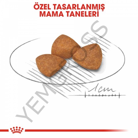 Royal Canin X-Small Ageing 12+ Küçük Irk Yaşlı Köpek Maması 1,5 Kg