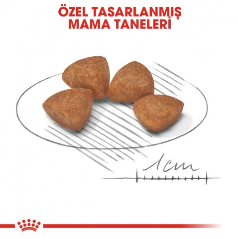 Royal Canin X-Small Puppy Küçük Irk Yavru Köpek Maması 1,5 Kg