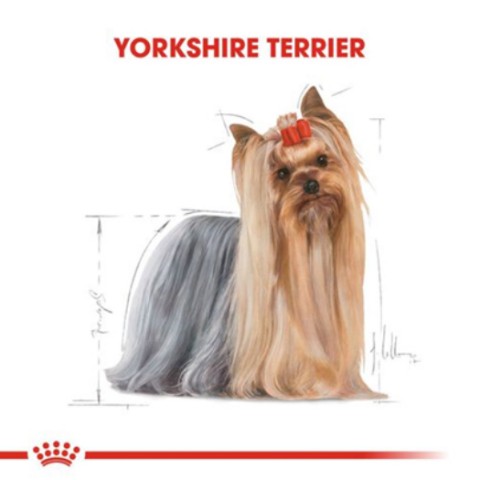 Royal Canin Yorkshire Terrier Adult Yetişkin Köpek Konserve Yaş Mama Pouch 85 Gr